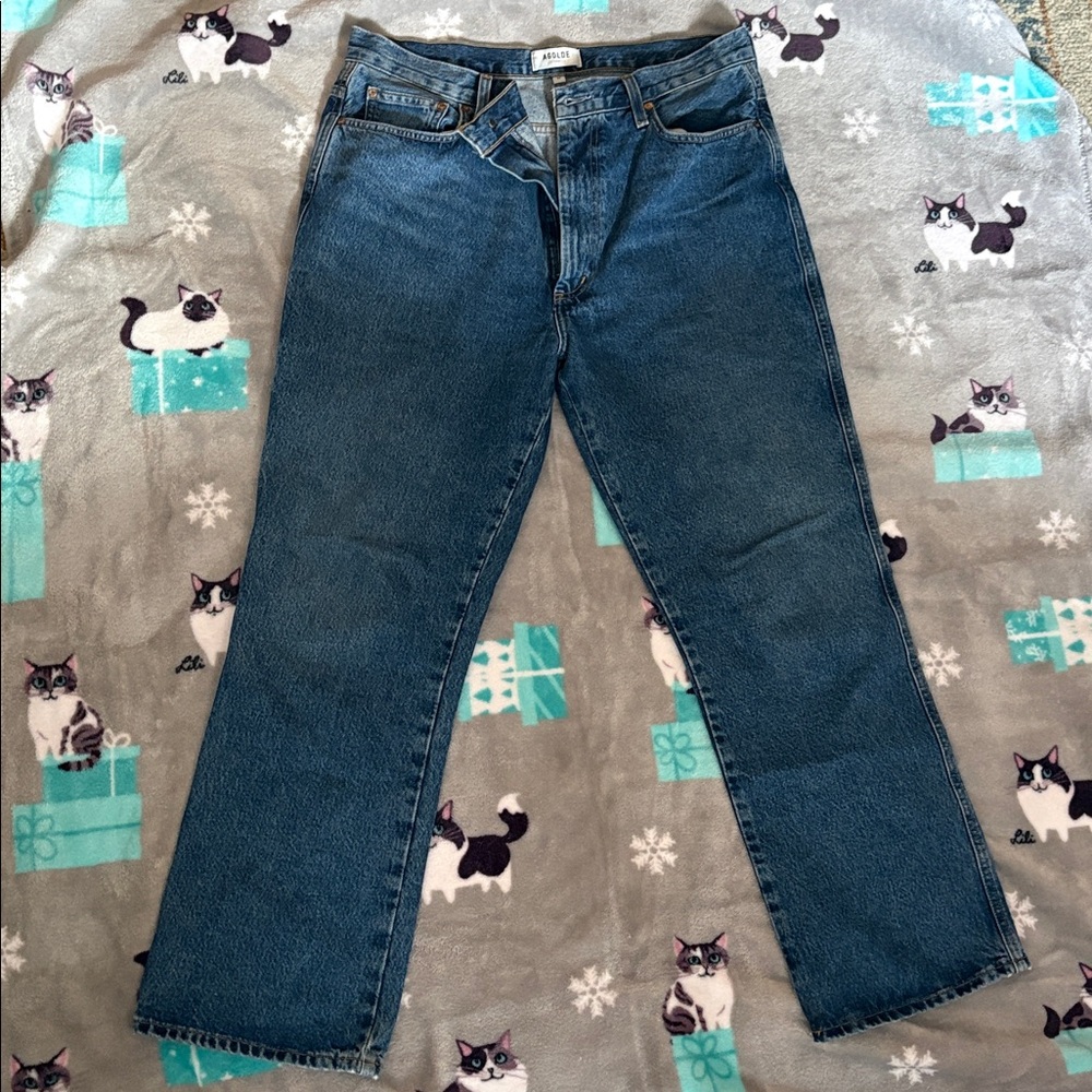 Agolde Pinch Waist Jeans Size 32 Medium Wash